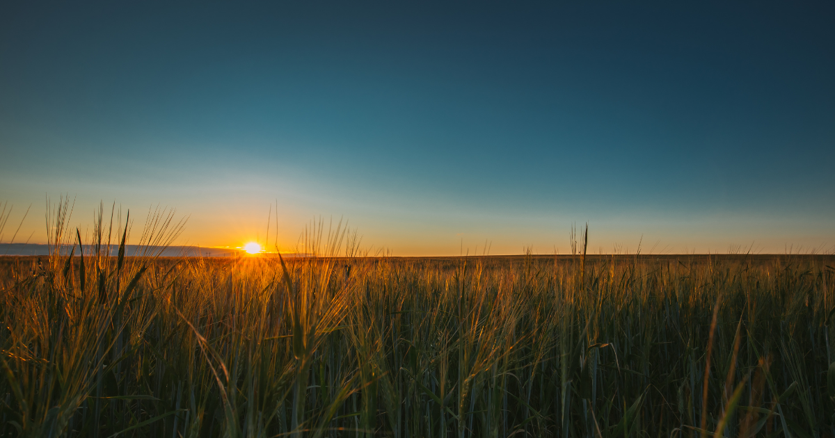 Top 3 Hunting Tips & Insights for Outdoorsmen in Hugo, Oklahoma